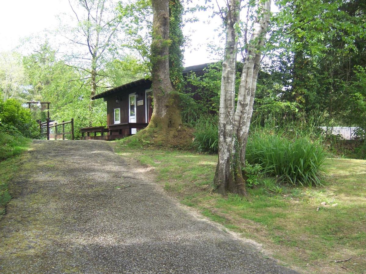 Honeysuckle Lodge Set In A Beautiful 24 Acre Woodland Holiday Park Newcastle Emlyn Exterior foto