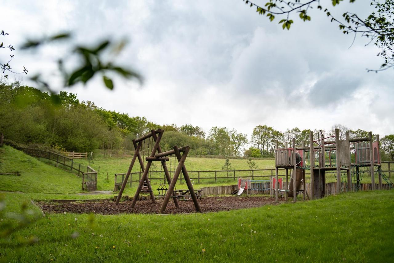 Honeysuckle Lodge Set In A Beautiful 24 Acre Woodland Holiday Park Newcastle Emlyn Exterior foto