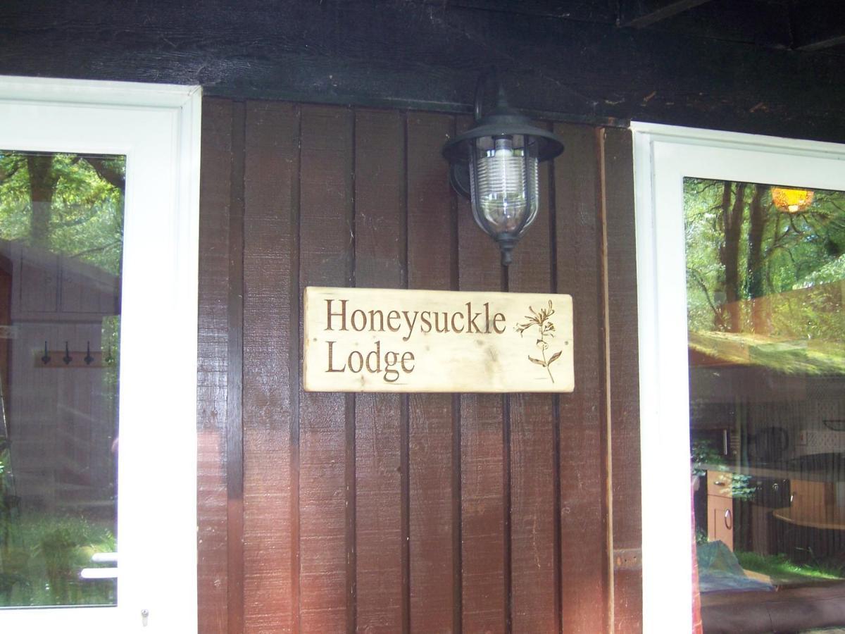 Honeysuckle Lodge Set In A Beautiful 24 Acre Woodland Holiday Park Newcastle Emlyn Exterior foto